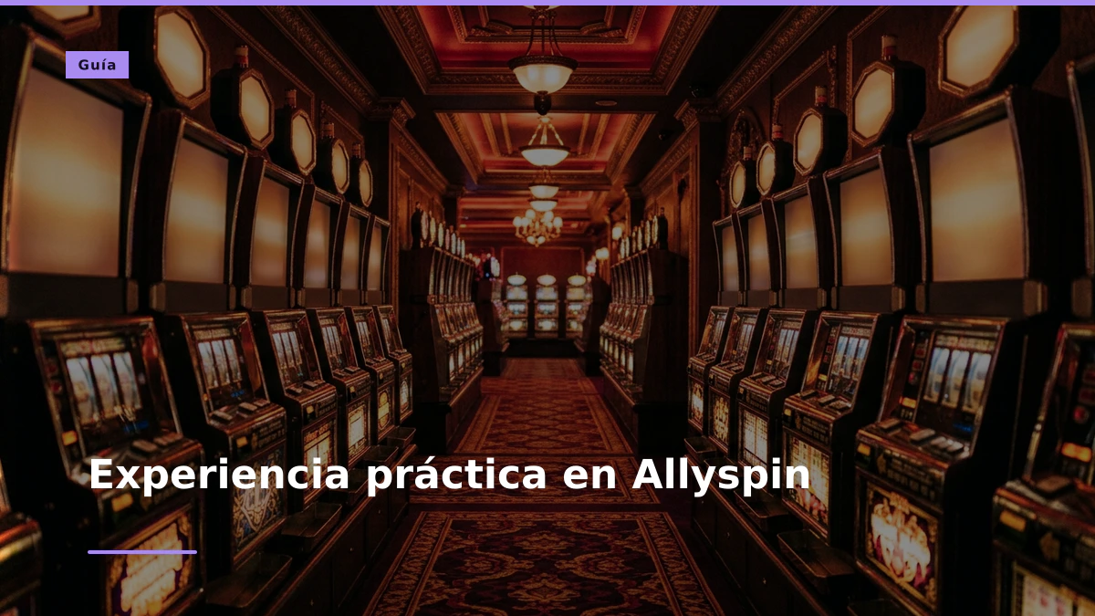 Experiencia práctica en Allyspin