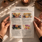 monthly sub concepts