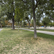 IMG 2920