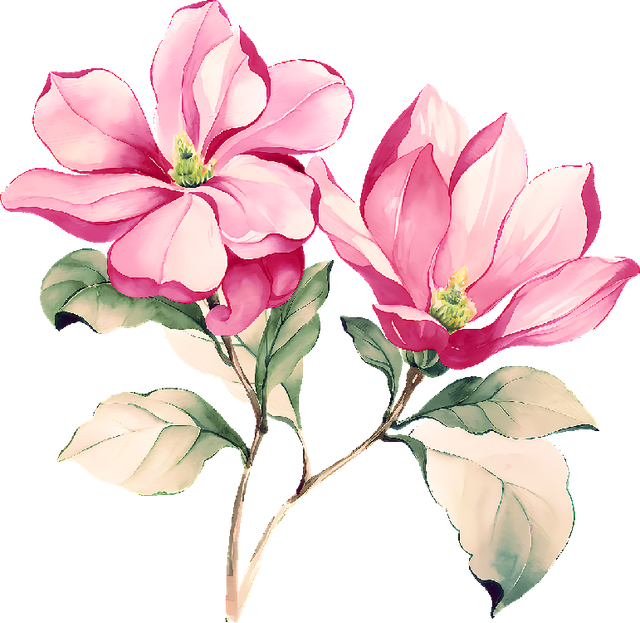f44.png