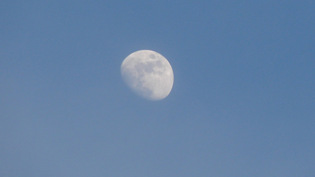 DSC04616.jpg
