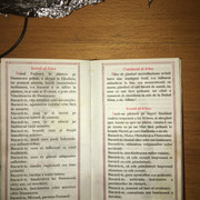 IMG 0197