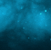 Paws Claws Forum Sig.gif