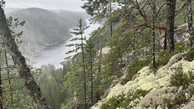 IMG 4897.jpg