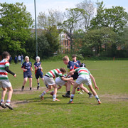DSC 0243