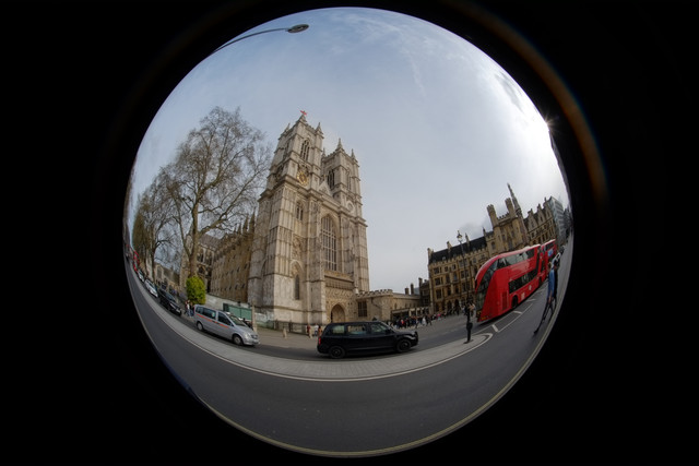 DSCF8863.jpg