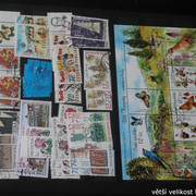 IMG-3525