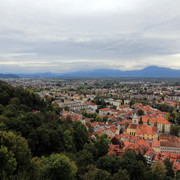 IMG-9981
