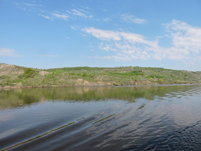 DSCN7593 1.jpg