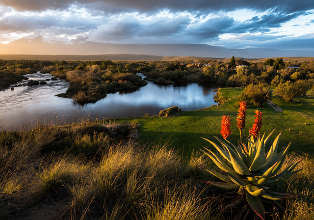 Kgalagadi Transfrontier Park