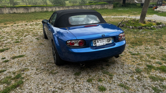 35.jpg