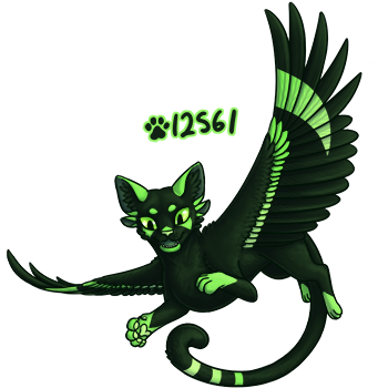 Pet Image