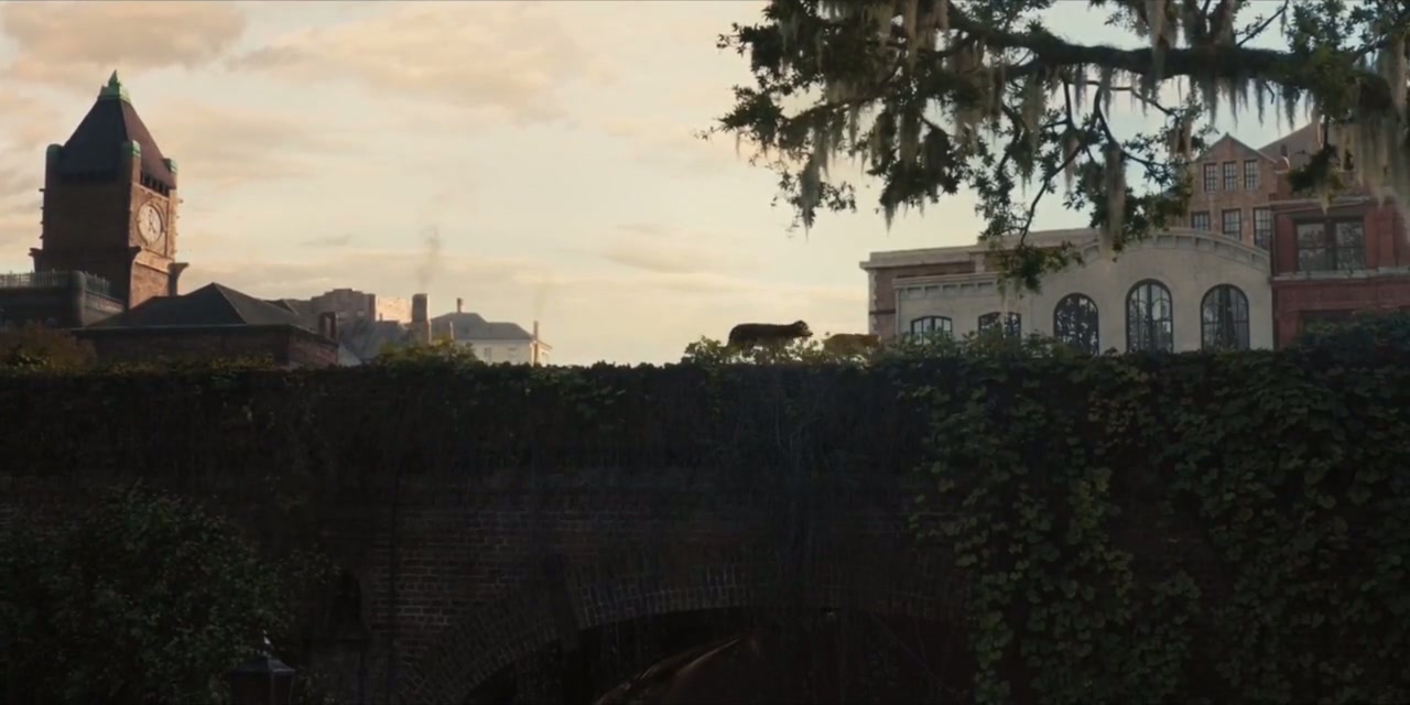 Lady and the Tramp Screenshot