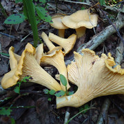 DSC00093