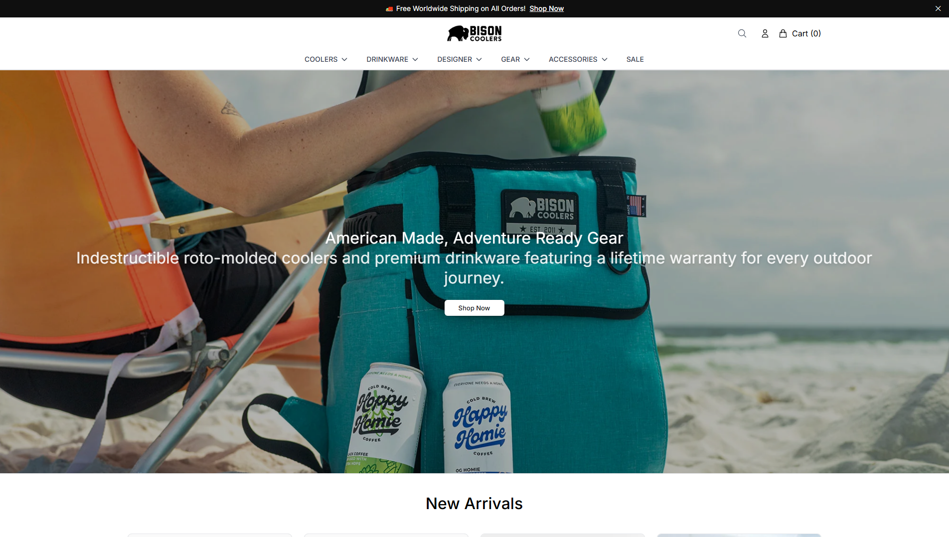 Stored capture of bisoncoolersstore.shop