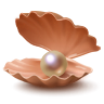 213.png