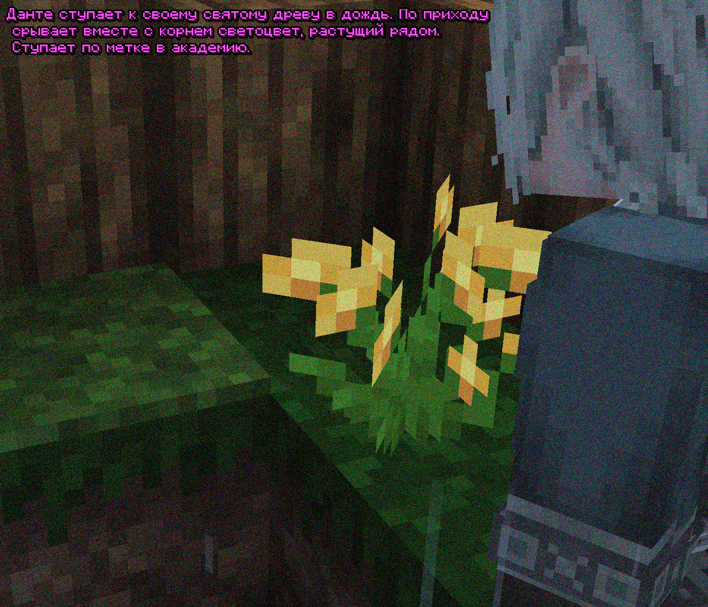 SS1.png