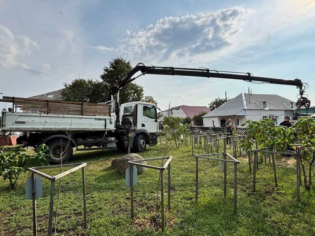Корова впала в люк у сквері пам'яті загиблих захисників у Малині: тварину рятували три години