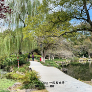 花港观鱼24