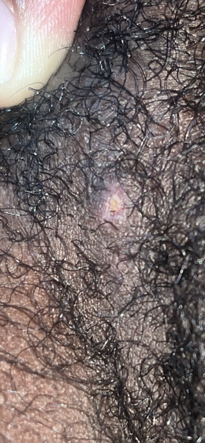IMG-2100