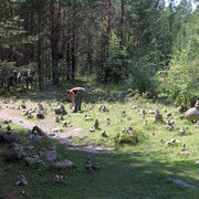 IMG 0475