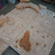 DSC 7421