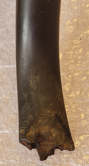 20251024-120146.jpg