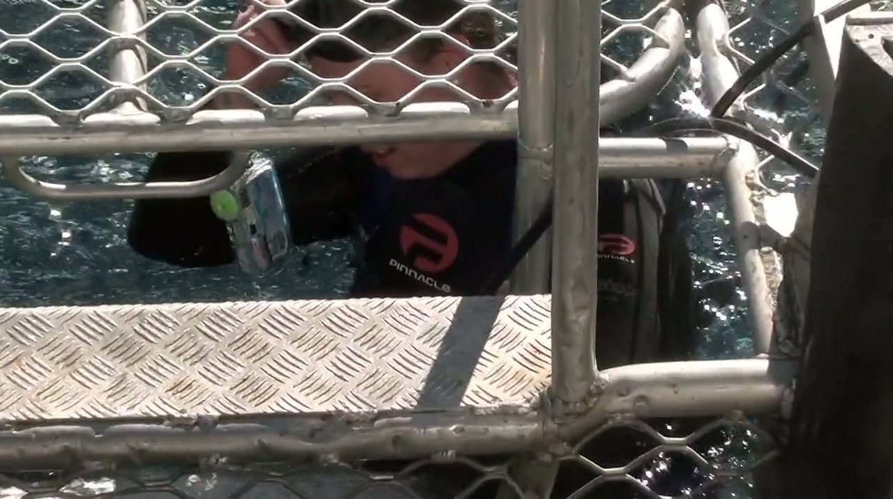 Open Water 3 Cage Dive Screenshot
