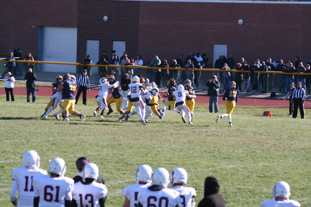 IMG-3174.jpg