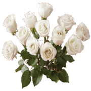 rose2-zps7d39e9c4