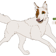 Palo Sibling 1 Ref