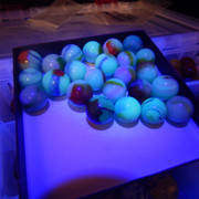 DSCN9303