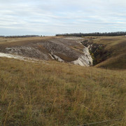 IMG-4312