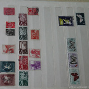 IMG-6966