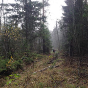 IMG-4480