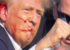 https://i.ibb.co/BLmVdZs/ezgif-5-4ee37475fa.png