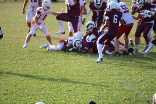 IMG-2040.jpg