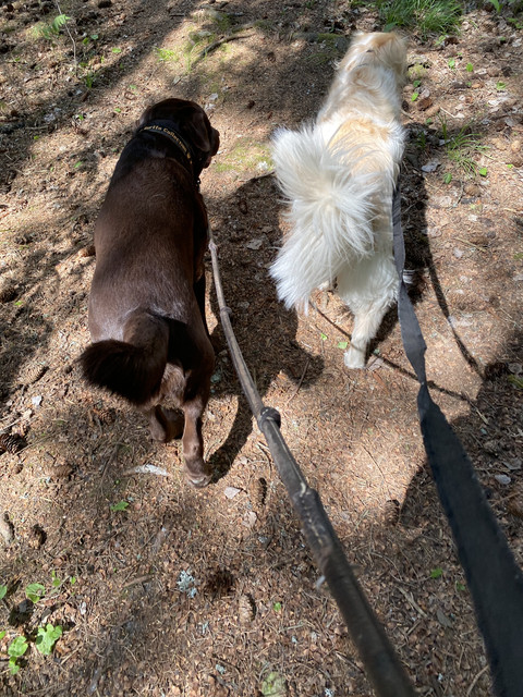 1-A5-C9889-E980-45-CE-9082-F0374-D6374-F