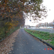2008-12-06-118