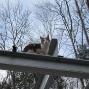 IMG-1296