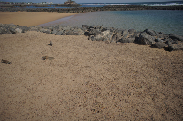 DSC01040.jpg