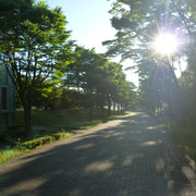 P1320122