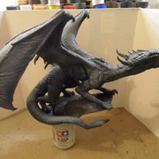 drache8