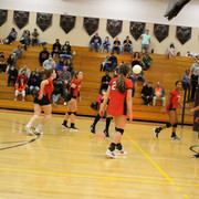 IMG-0230