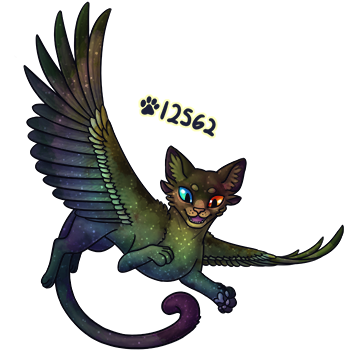 Pet Image