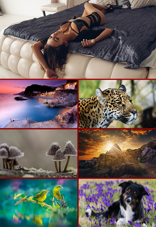 Widescreen Wallpapers for your desktop # 435