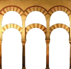 transparent.png