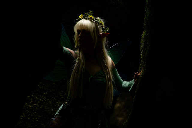 Fey-046.jpg