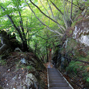 IMG-0144