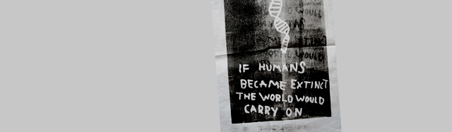 header12.png